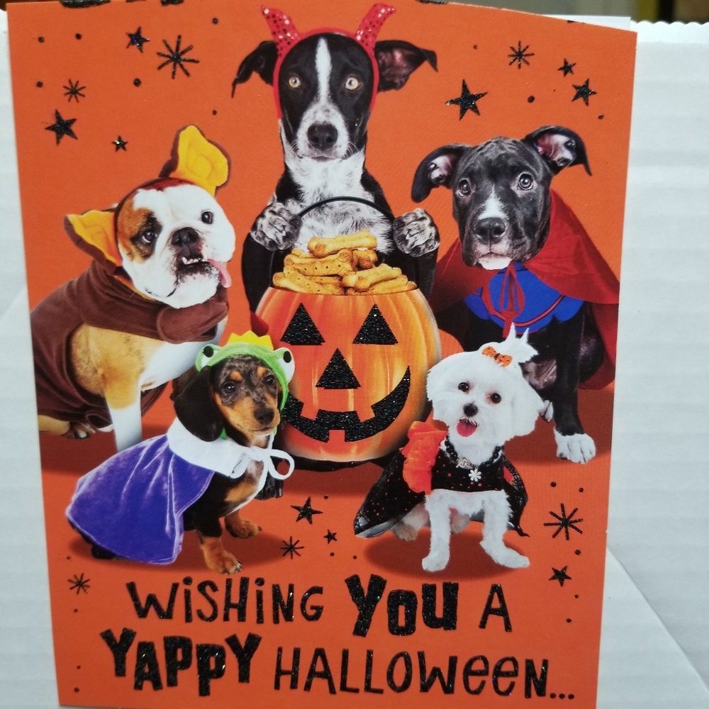 Dog Dish & Treat Container Halloween Gift for pups - Picture 7 of 7
